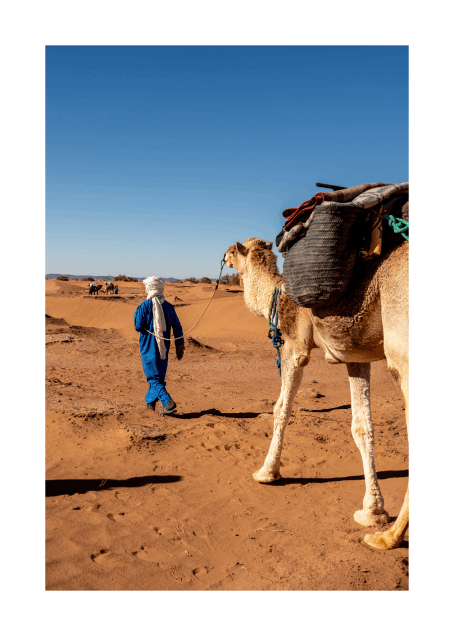 "Marche ancestrale" – Sahara, Maroc