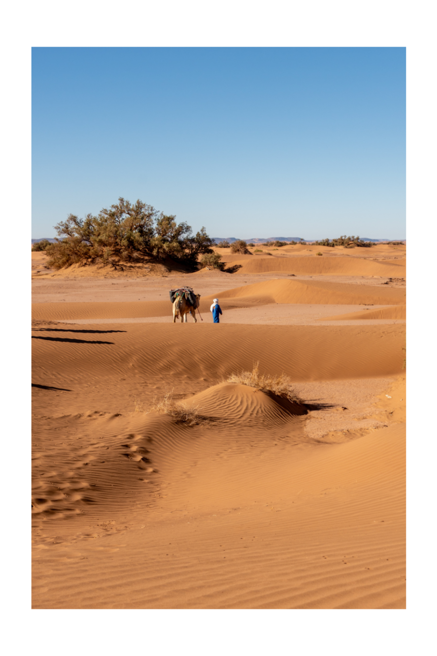 "Solitude fertile" – Sahara, Maroc
